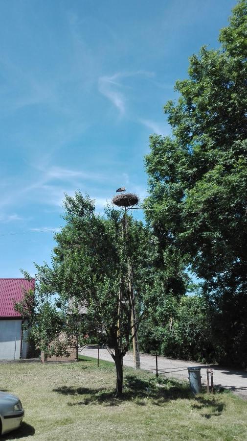 Domek Blisko Biebrzy Radzilow Kültér fotó